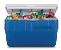 Coleman Poly-Lite Cooler, Holds 2L Bottles Upright, 45-L, Blue -Coleman Sales Store cooler 48 quart chest coleman 0ce9237e d75c 4ff0 be54 27bcb4c722b6